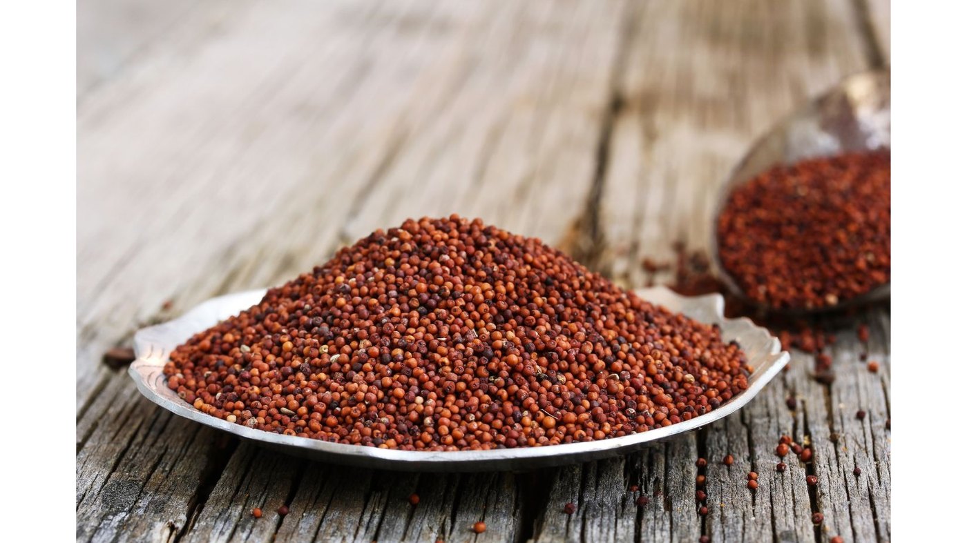 Finger Millet