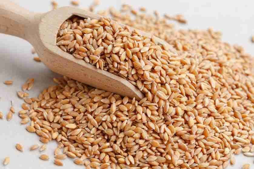 Indian agricultural commodity sourcing